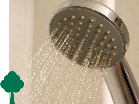 Shower head